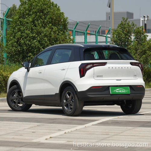 Carica elettrica 4 ruote Motore SUV Geometria E 2022 401 km Thunder Tiger 4 sedili Nuova automobile per auto energetiche